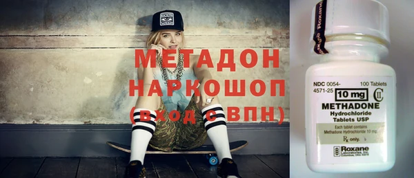 стаф Богданович