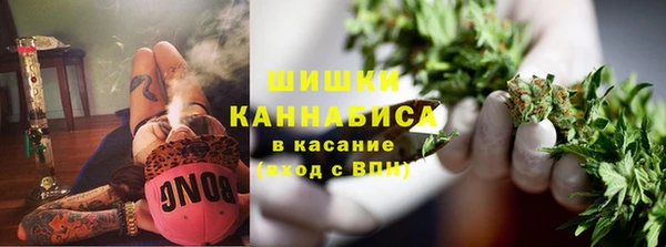 стаф Богданович