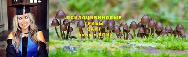 молекула духа Богородицк