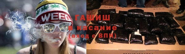 стаф Богданович
