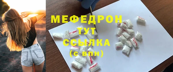 молекула духа Богородицк