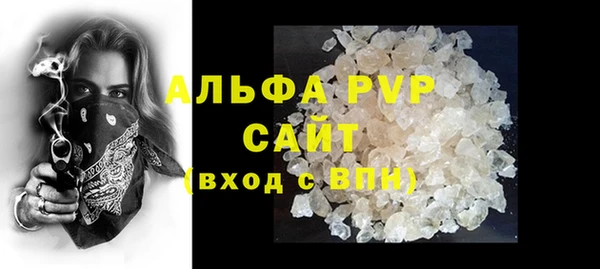 молекула духа Богородицк