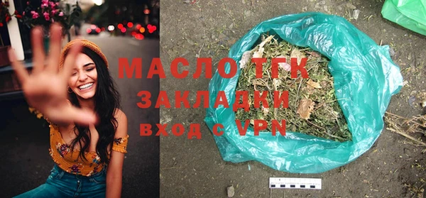 молекула духа Богородицк