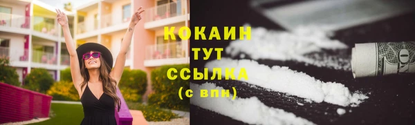 стаф Богданович