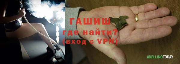 стаф Богданович