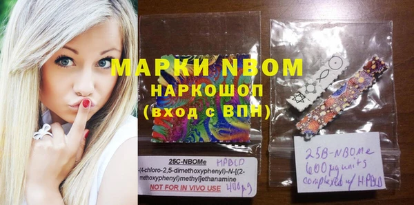 молекула духа Богородицк
