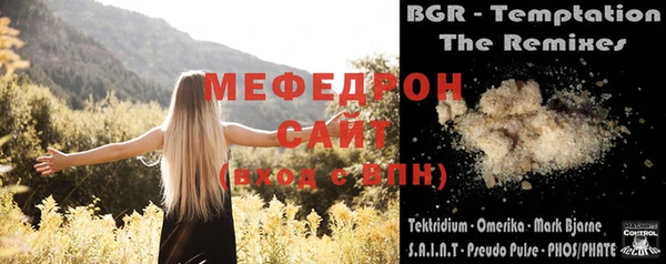 молекула духа Богородицк