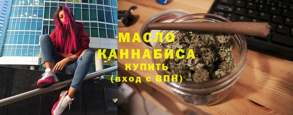 молекула духа Богородицк