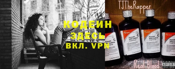 стаф Богданович