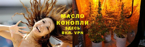 молекула духа Богородицк