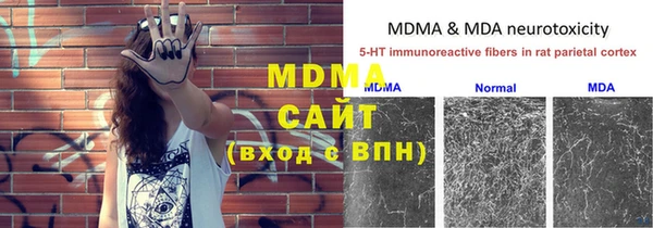 молекула духа Богородицк