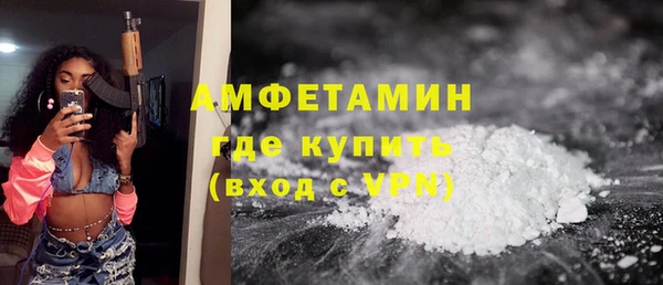 молекула духа Богородицк