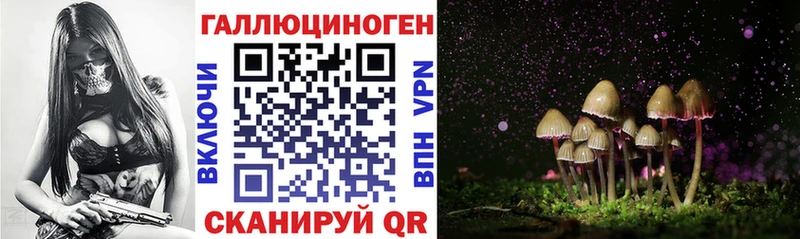 Псилоцибиновые грибы ЛСД  цены наркотик  darknet клад  Красноармейск 